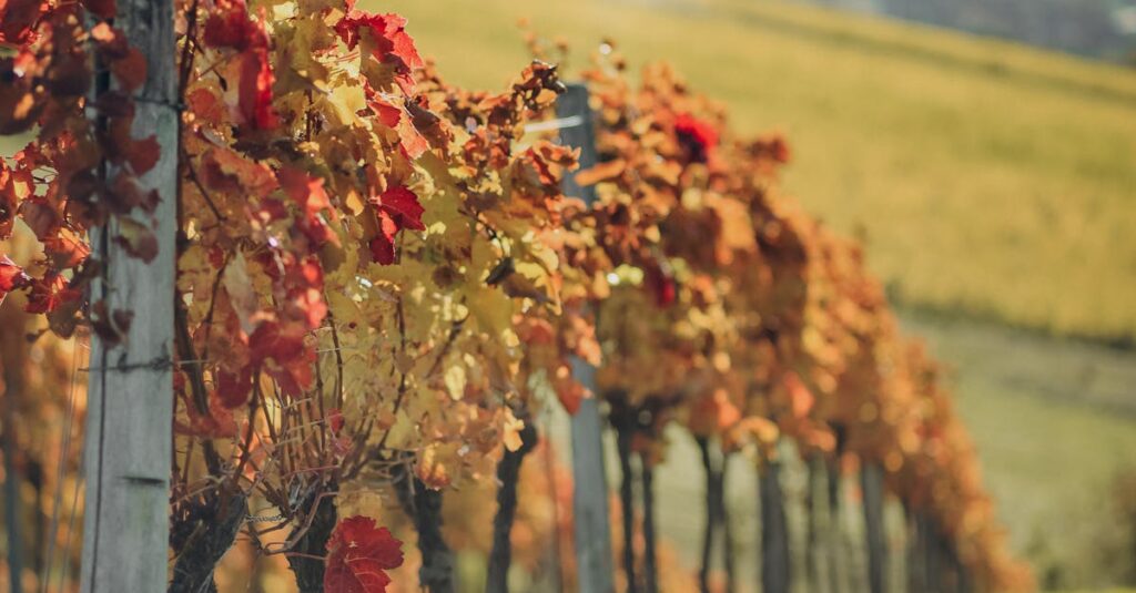 The Bizarre World of VC-Backed Bot Farms and the 'Dead Internet'